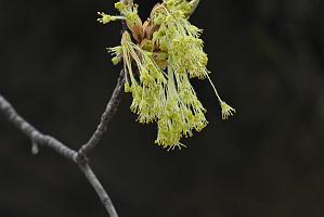 2025-04216414 Tower Hill Botanic Garden, MA